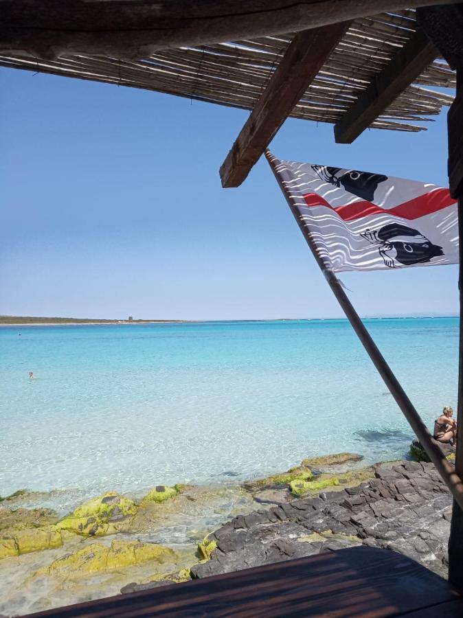 Stefano Casa VacanzeViddalba エクステリア 写真